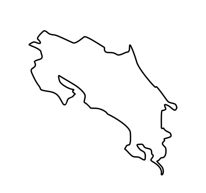 Roman Feral papillon