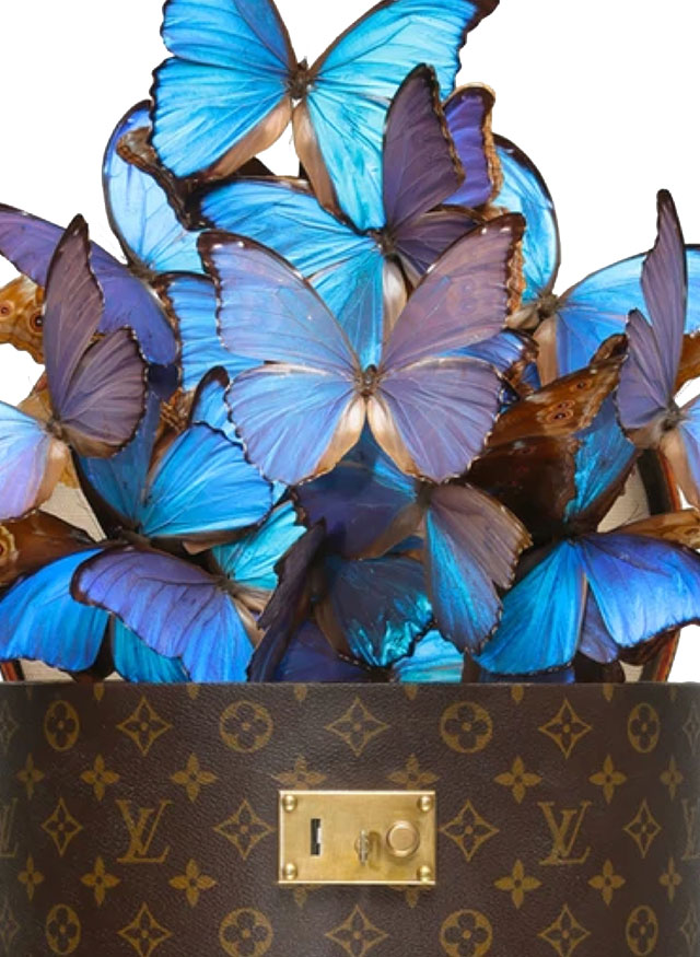 LOUIS VUITTON - Mirror Butterfly bag